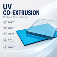Plaque de polycarbonate transparente solide OEM 6mm 8mm 10mm pour serres, fermes commerciales et pépinières