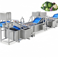 Complete fruit- en groente-dehydratatielijn met hetelucht droog- en koelsysteem