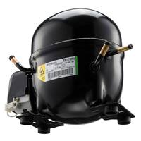 Compresseur à piston Embraco Aspera EMT2125GK 1/6HP R404A R507 220-240V 50Hz LBP Compresseur hermétique pour congélateur commercial