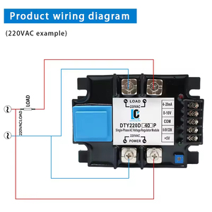 220V SSR 4-20mA,0-10V, điều khiển chiết áp 40A SSR 0-5vdc điều chỉnh điện áp 80A 100A 120A 200A 300A 400A dty một pha SCR - Product Image 6