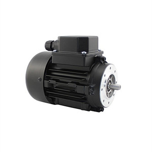 Motor Asíncrono Seap Ac Dmq 69 con Caja de Cambios, Motor Trifásico de Frecuencia Variable con Freno y Montaje de Brida de 130 mm - Product Image 4