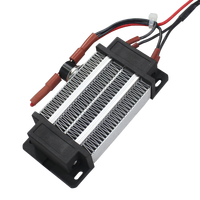Fabricant de radiateurs 220V 300W Radiateur PTC en céramique isolé Radiateur d'air Incubateur Contrôleur Élément chauffant 110*50*26mm