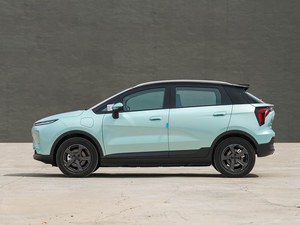 GEOMETRY <span class=keywords><strong>E</strong></span> FIREFLY SUV électrique haut de gamme, autonomie CLTC de 401 km, batterie LFP, véhicule électrique compact pour la ville - Product Image 1
