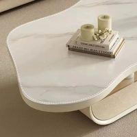 Ensembles de meubles de salon, tables basses modernes de luxe léger, tables d'appoint pour canapé, pour une utilisation à domicile haut de gamme