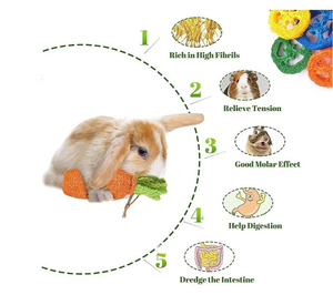 Juguetes Ecológicos de Madera de Manzana Natural para Masticar, Favorecen la Salud Dental, Accesorios para Mascotas, Conejos, Hámsteres, Regalo Festivo - Product Image 6