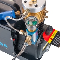 Compresseur d'air électrique portable haute pression 220V 4500psi pour plongée sous-marine, paintball, PCP, refroidi par eau, vente en gros d'usine, garantie 2 ans