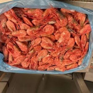 Langostinos Congelados <span class=keywords><strong>de</strong></span> Agua Fría <span class=keywords><strong>de</strong></span> Alta Calidad y Buen <span class=keywords><strong>Precio</strong></span> para Venta al por Mayor <span class=keywords><strong>de</strong></span> Kingsunfoods China - Product Image 2
