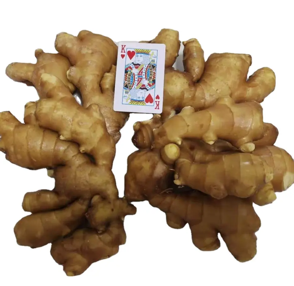 Chinese New Season Fresh Ginger big size hot sales good taste for export