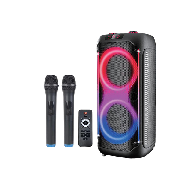Double 8 Inch Partyboom Portable DJ Private Karaoke Party Speaker with Fashionable Rolling Light Trolley Speaker Box
