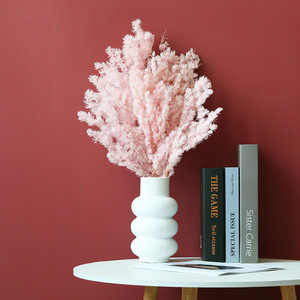 Arrangements de fleurs préservées de <span class=keywords><strong>fougère</strong></span> Ming naturelle Plusieurs couleurs Fleurs séchées Remplisseurs Asperges Myriocladus Plantes décoratives - Product Image 4