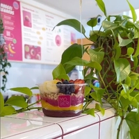 18/24/32/48Oz Wegwerp Salades Dressing Acai Fruit Lunch Maaltijd Voorbereiding Om Te Gaan Plastic Doorzichtige Kom Container Met Deksel
