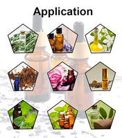 Petit vanille huiles essentielles réservoirs d'extraction équipement