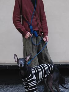 Guinzaglio per Cani 4-in-1 Regolabile Personalizzato in Nylon Premium con Impugnatura a Mani Libere e Cursore in Silicone - Product Image 3