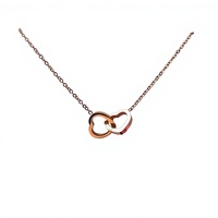 Collier minimaliste à double cœur pour femmes, anneaux double cœur, luxe léger, collier en acier inoxydable de qualité supérieure