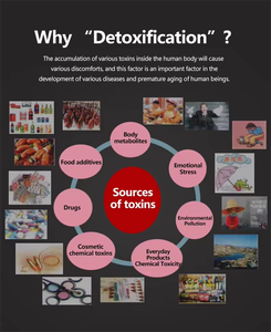 Profesional al por mayor portátil de doble <span class=keywords><strong>Ion</strong></span> limpieza de pies máquina de desintoxicación de limpieza profunda baño iónico pie Spa desintoxicación - Product Image 5