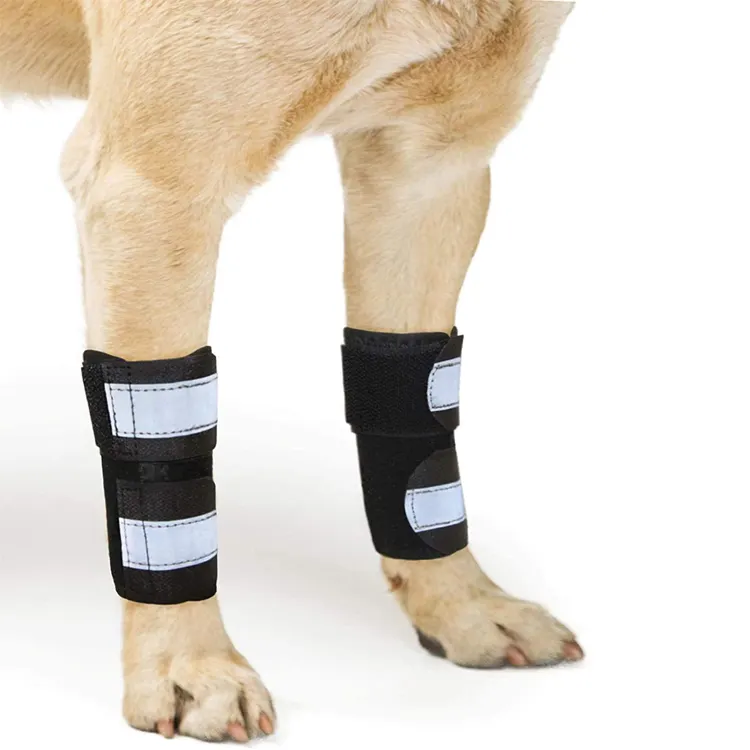 Hund Canine Vordere Bein Compression Hosenträger Super Unterstützende Stabilisieren Hunde Vordere Bein Pet Knie Pads Handgelenk Karpaltunnelsyndroms Sprunggelenk Joint Brace