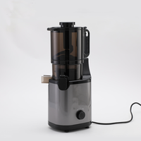 Draagbare 1,7L huishoudelijke fruit- en groentepers met grote filter, zonder snijfunctie