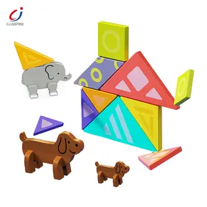 Chengji Permainan Asah Otak Pendidikan Kreatif Diy Puzzle Blok Mainan Tangram Magnetik