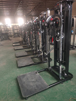 Nouveautés 2022 : Machine multifonctionnelle de musculation à sélection de charge par pignon pour soulevé latéral debout et exercices multi-positions debout