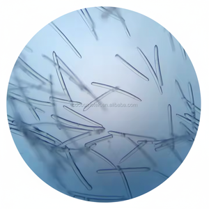 Espículas de Esponja, Extracto Herbal Liofilizado de Grado Cosmético, Polvo Verde para Rejuvenecimiento de la Piel, Muestra Gratis - Product Image 1