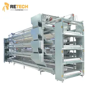 Supply Completely Automatic Laying Hen Egg Layer Battery H Type Chicken Cages System
