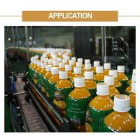 Shean Juice 12-12-4Complete Fruit Sapverwerkingslijn /Sapproductielijn /Sapvulmachine