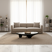Table basse ovale irrégulière de luxe moderne et créative pour salon, en PRF (plastique renforcé de fibres de verre), noire, avec rangement facile