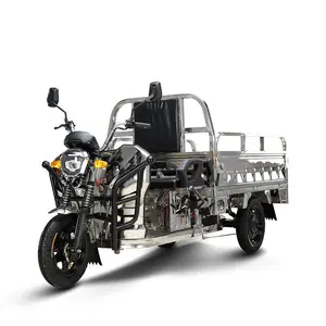 E TrikeThree Wheel Stainless Steel Tricycle For Cargo Loading 1000W Motor Parts