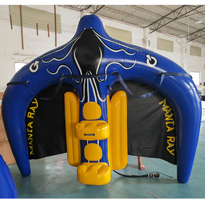Tubo Inflable De Pez Volador Usado Para Deportes Acuáticos Inflable Mantarraya Voladora Tirada En <span class=keywords><strong>Venta</strong></span> - Product Image 5