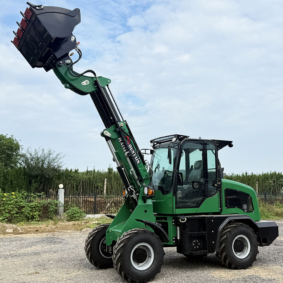 Fast Delivery Diesel Engine Loader Multifunction Telescopic Compact ...