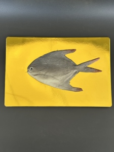 Cấp thực phẩm dùng một lần khay nhựa dùng một lần để phục vụ hộp nhựa - Product Image 3