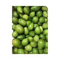 Guanavida Gefilterde Diepvries Guavapulp Suiker-Vrij 100% Pure Voedingsdrank 11 Brix pH 3.5-4.5 180 kg Vat Ecuador -20°C