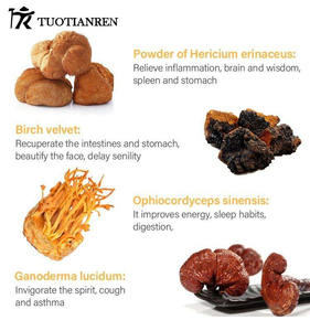 Café de Champiñones en Polvo Instantáneo Sin Azúcar, Suplemento Fitness, Matcha de Alta Calidad, Energía Saludable, Granos de Arábica, Sabor Neutro - Product Image 6