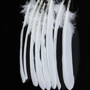 <span class=keywords><strong>Di</strong></span> alta qualità a buon mercato naturale 5.9-<span class=keywords><strong>Piume</strong></span> d'oca da 7.8 pollici alla rinfusa bianco decoro <span class=keywords><strong>piume</strong></span> per badminton volano angelo ala materiale - Product Image 4