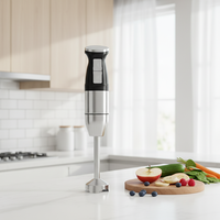Mixeur Plongeant 2 Vitesses avec Bouton de Contrôle, Moteur en Cuivre Pur 300W, pour Usage Domestique