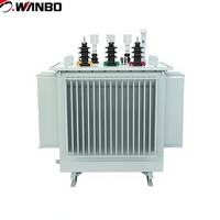 Transformador de Distribución de Energía Trifásico Sumergido en Aceite de Alto Rendimiento Wanbo-182