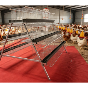 Cage à poules pondeuses de type A à 4/5 niveaux pour élevage avicole, avec système d'alimentation et d'abreuvement - Product Image 3