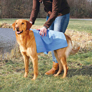 Toalla para Perros Trixie, 66 x 43 cm, Extremadamente Absorbente - Product Image 3