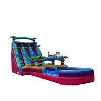 Glissière d'eau gonflable résistante de PVC épaissie grande location de partie pour le château gonflable des enfants