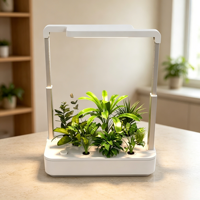 Kit Tanam Hidroponik Pintar 2 Tanaman untuk Herbal dan Buah di Rumah, Pompa LED 24W Timer 3 Mode Stand yang Dapat Diperpanjang