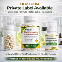 OEM Vegan Multivitaminen en Mineralen Capsules 6 Maanden Voorraad Private Label Voedingssupplementen Fabrikant