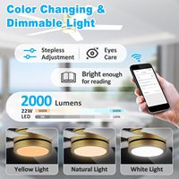 YOUKAIN Ventilateur de plafond électrique à LED pour hôtels et salon Éclairage et refroidissement par air avec télécommande Moteur à courant continu