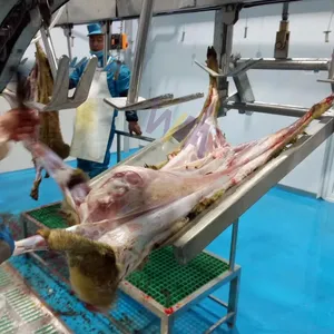 Ligne complète automatique d'abattoir de moutons de 200 Abattoir Solution d'équipement d'abattage de chèvres Afrique du Sud