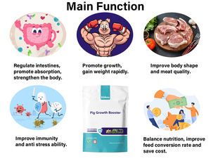 Domuz büyüme güçlendirici hızlı büyüme Premix yem hayvan kilo kazanç Promoter vitamini besleme <span class=keywords><strong>Amino</strong></span> asit takviyesi domuz büyüme güçlendirici - Product Image 4