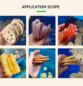 प्लांटेन चिप्स स्लैसिंग मशीन वाणिज्यिक सब्जी स्लिसर मशीन अदरक स्लिसिंग मशीन स्पष्ट चिप स्लैसिंग मशीन - Product Image 2