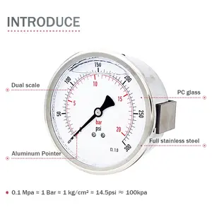 Manómetro Popular para uso doméstico, 100mm, 20 bar, 300 psi