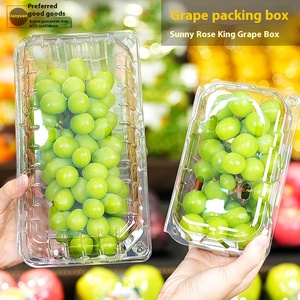 กล่องพลาสติกใสแบบใช้แล้วทิ้งสำหรับบรรจุผักและผลไม้ เกรดอาหาร วัสดุ PET  บรรจุภัณฑ์พลาสติก  เทรนด์ปี 2026 - Product Image 4