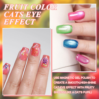 IMTITI Vente en gros 12 couleurs Vernis gel œil de chat effet fruit magnétique UV LED Soak Off pour nail art, Marque privée, Logo personnalisé