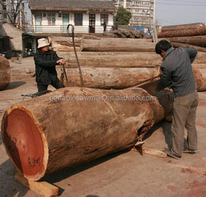 Scies à chaîne portatives de coupe en bois - Product Image 5