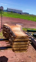 Scierie portative 7/15 CV, scie à ruban horizontale portable pour usage domestique, coupe de bois et industries forestières